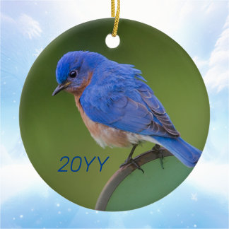 Annual Bluebird Christmas Ceramic Tree Decoration