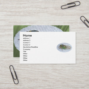 Annual Cicada Business Card
