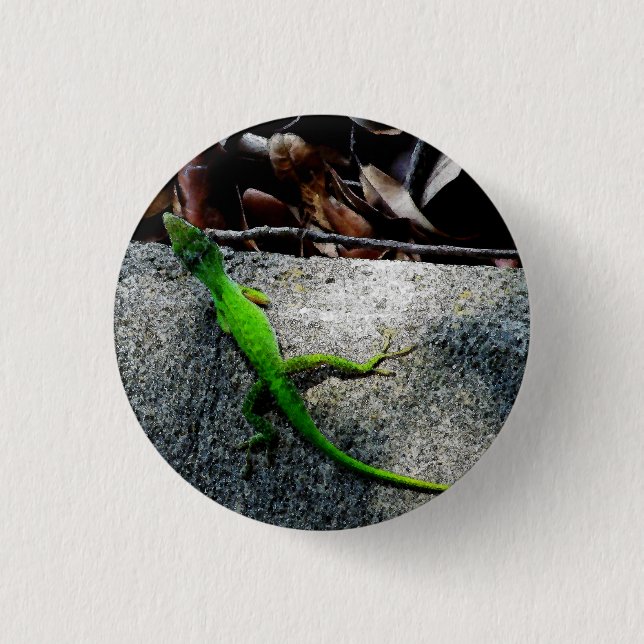 Anole 6704  3 cm round badge (Front)