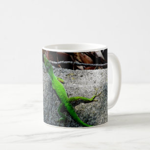 Anole Lizard 6704 Coffee Mug