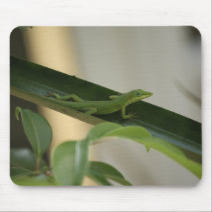 Anole Lizard Mouse Mat