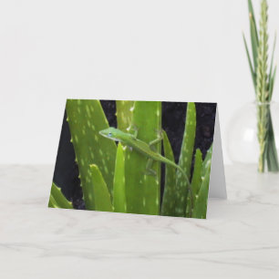 Anole lizard on Aloe plant Card