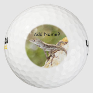 Anole Lizard Photo Golf Balls