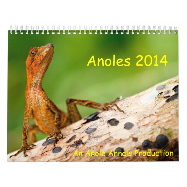 Anoles 2014 calendar (Cover)