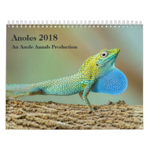 Anoles 2018 - An Anole Annals Production Calendar