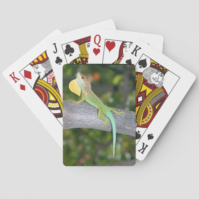 Anolis lividus playing cards (Back)