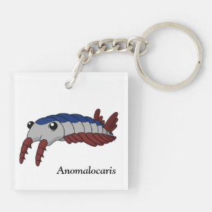 Anomalocaris- Prehistoric Animal Key Ring
