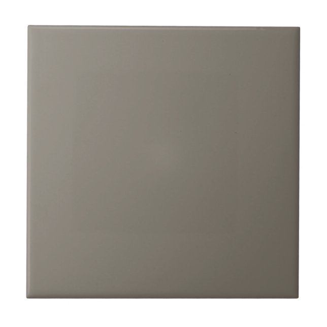 Anonymously Brown Square Kitchen and Bathroom Tile (Front)