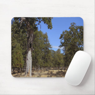 Another beautiful day.... mouse mat