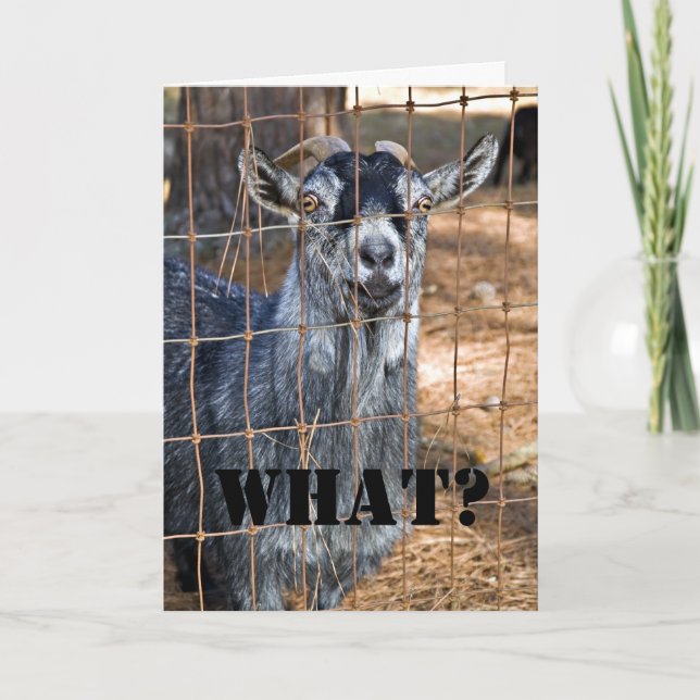 Another Birthday? Card (Front)