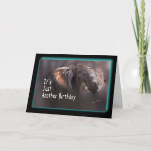 Another Birthday-customise it Card