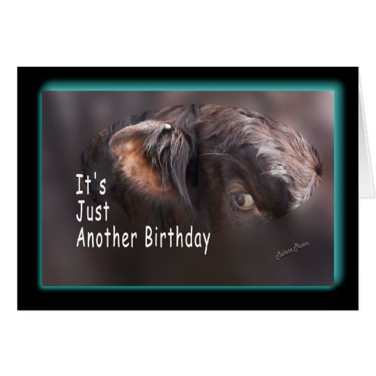 Another Birthday-customise it Card