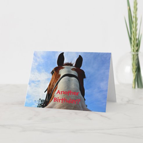 Funny Horse Cards | Zazzle UK