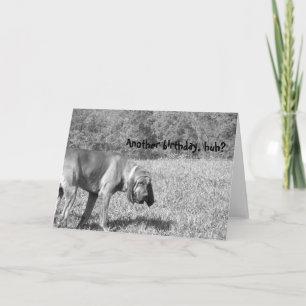 Another Birthday, huh? Hound Dog Birthday Card