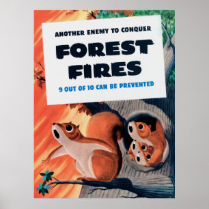 Another Enemy To Conquer Forest Fires Poster