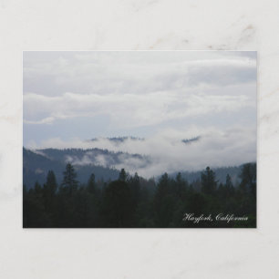 Another foggy eve... postcard