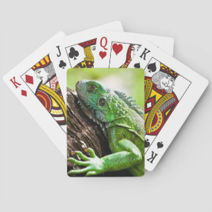 another green day playing cards