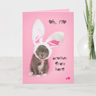 Another Grey hare Kitten Easter or Birthday Holiday Card