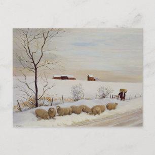 Another Hard Winter Postcard