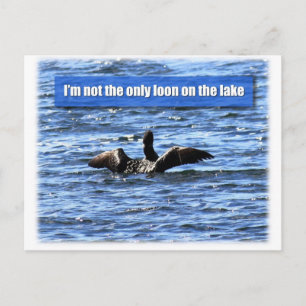 Another Loon on the Lake Postcard