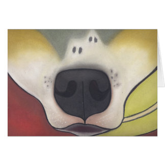 Another Nose