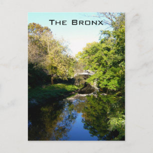 Another Side of the Bronx Postcard