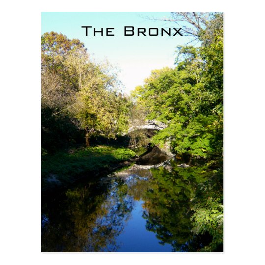 Another Side of the Bronx Postcard