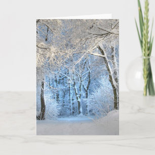 another winter wonderland holiday card