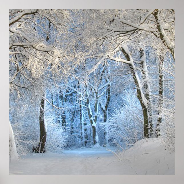 another winter wonderland poster (Front)