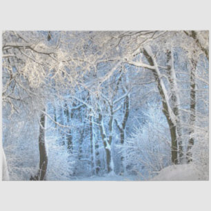 another winter wonderland tissue paper