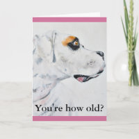 Another year older birthday card, Boxer Dog