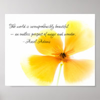 Ansel Adams quote in black text on an Orange Poppy