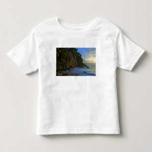 Ansi Victorin Beach 2 Toddler T-Shirt