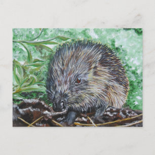 Ansichtkaart Egel. Postcard