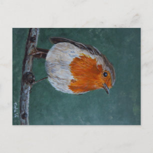 Ansichtkaart Roodborst. Briefkaart Postcard