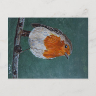Ansichtkaart Roodborst. Postcard
