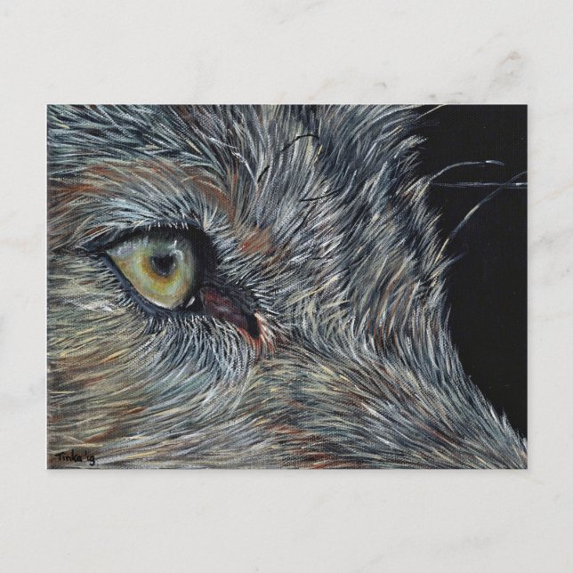 Ansichtkaart Wolf Postcard (Front)