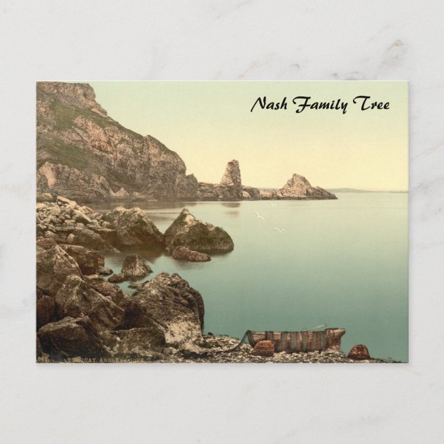 Anstey's Cove I, Torquay, Devon, England Postcard (Front)