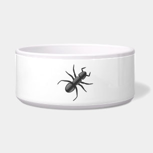 Ant