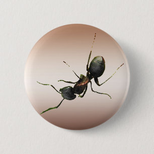 Ant 6 Cm Round Badge