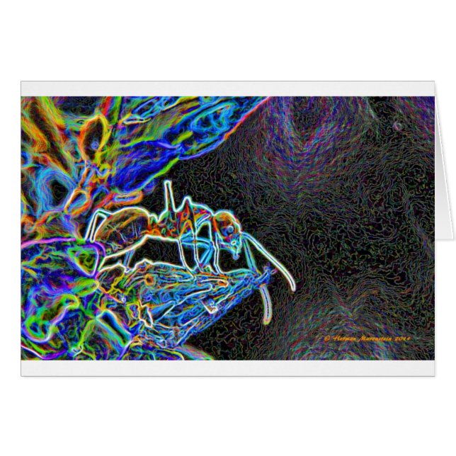 ant a1 (Front Horizontal)