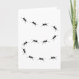 Ant Ants Keeping Ant Farm Gift Funny Card
