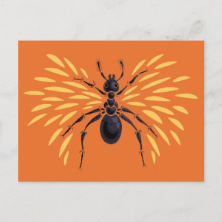 Ant Art Insect Lover Fiery Orange Entomology Postcard