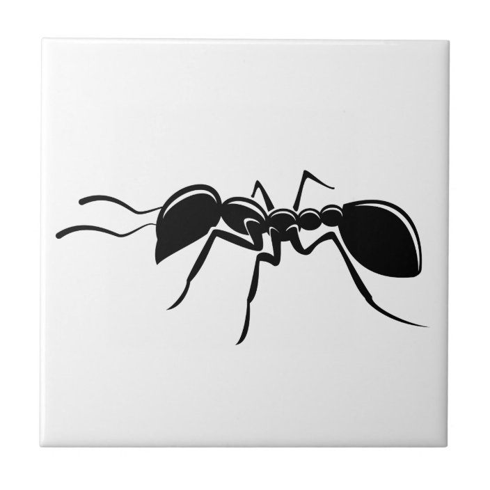 Ant drawing insect tile | Zazzle.co.uk
