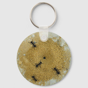 Ant Hill Key Chain
