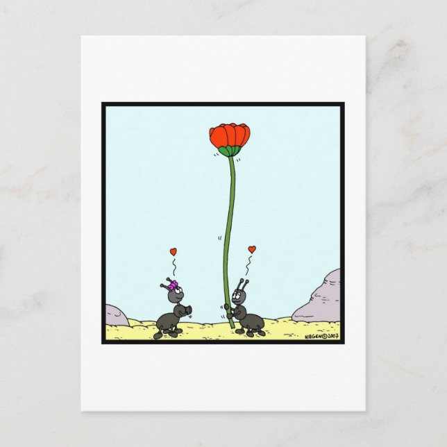 Ant in love: Ant cartoon Postcard (Front)