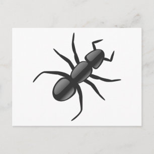 Ant Postcard