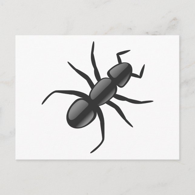 Ant Postcard (Front)