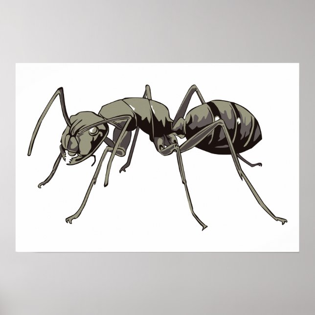 Ant Poster (Front)