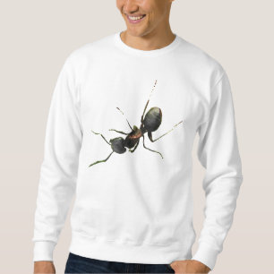 Ant Sweatshirt